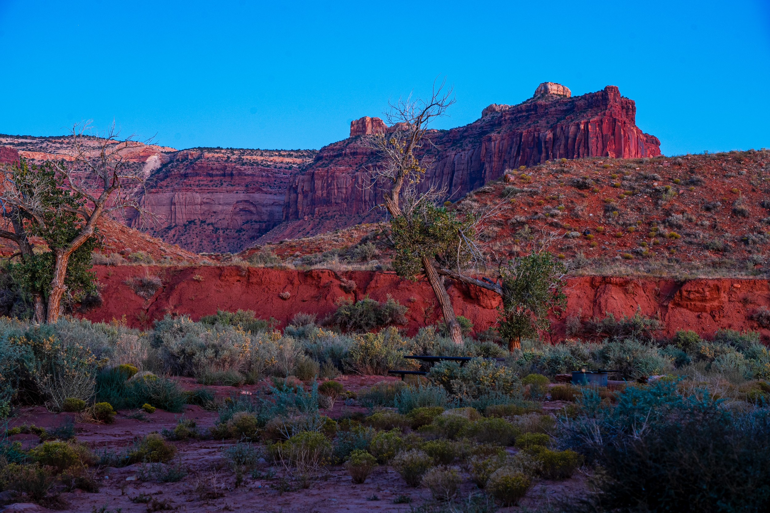 USA 2024 5 Sterne 95